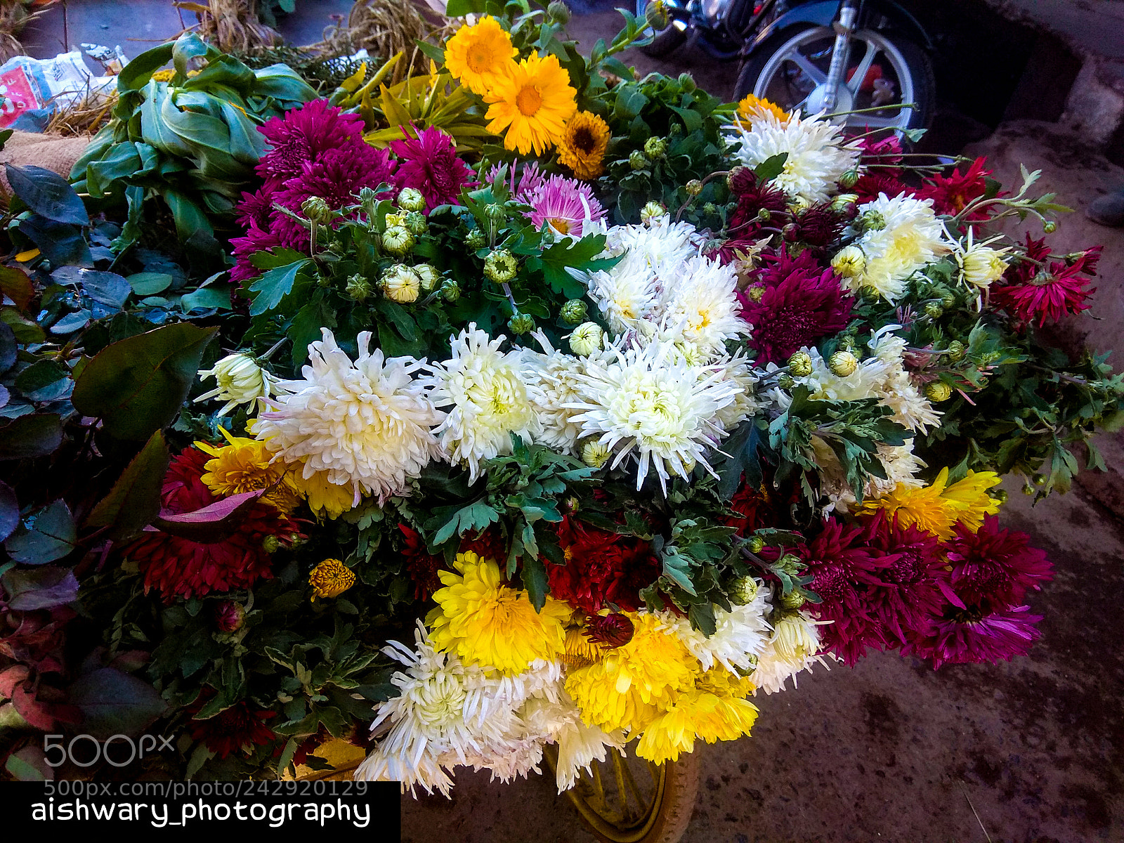 Xiaomi Redmi Note 4 sample photo. Flowers photography