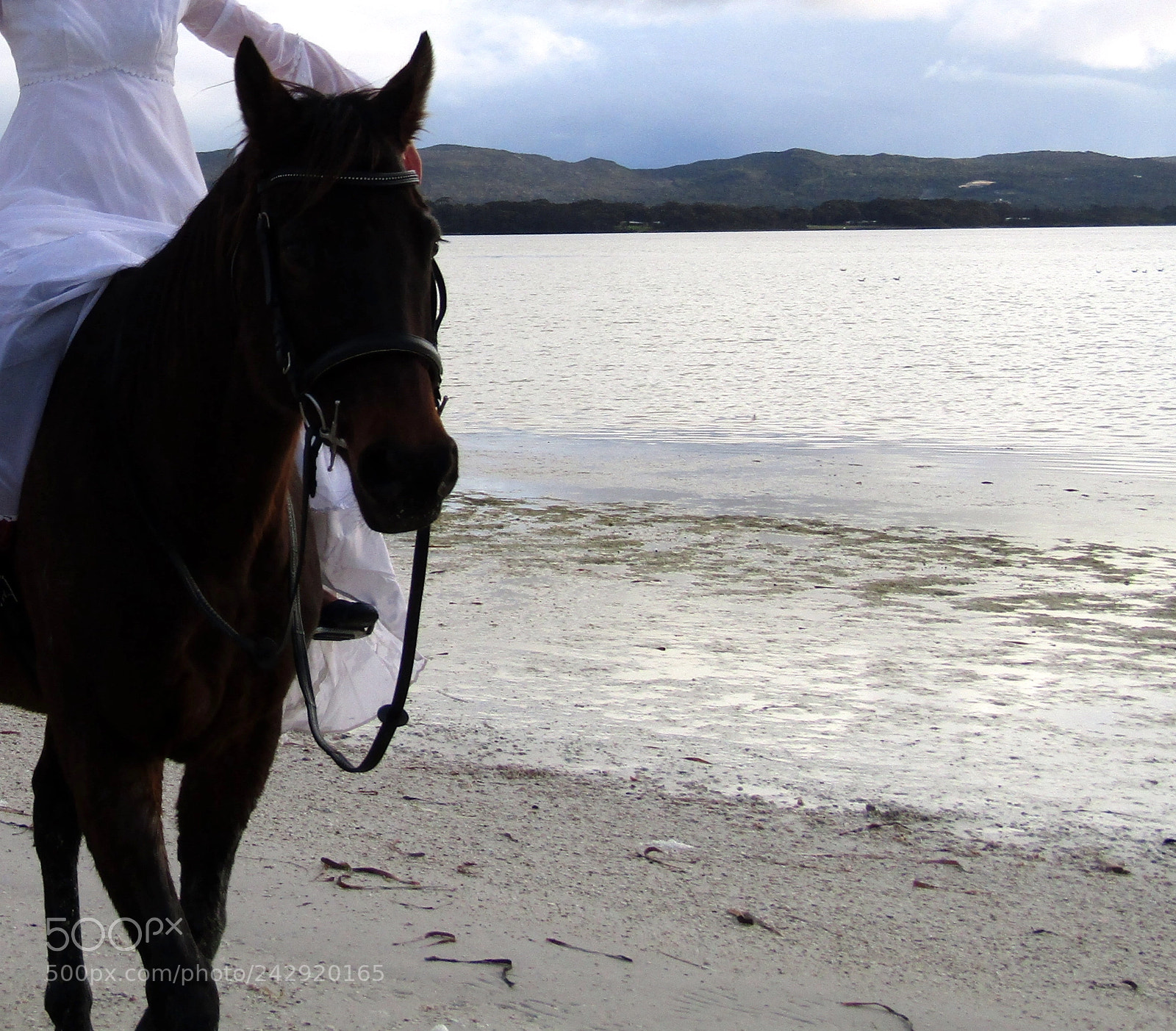 Canon PowerShot SX420 IS sample photo. Sharna and o'l fella photography