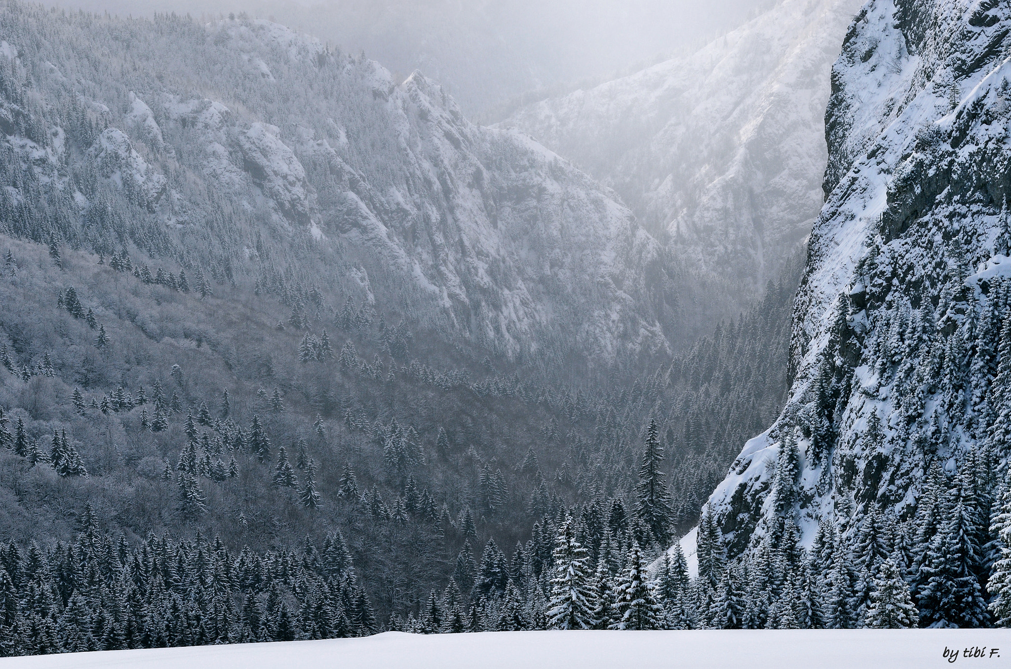 Nikon AF-S Nikkor 24-120mm F4G ED VR sample photo. Ironforge photography