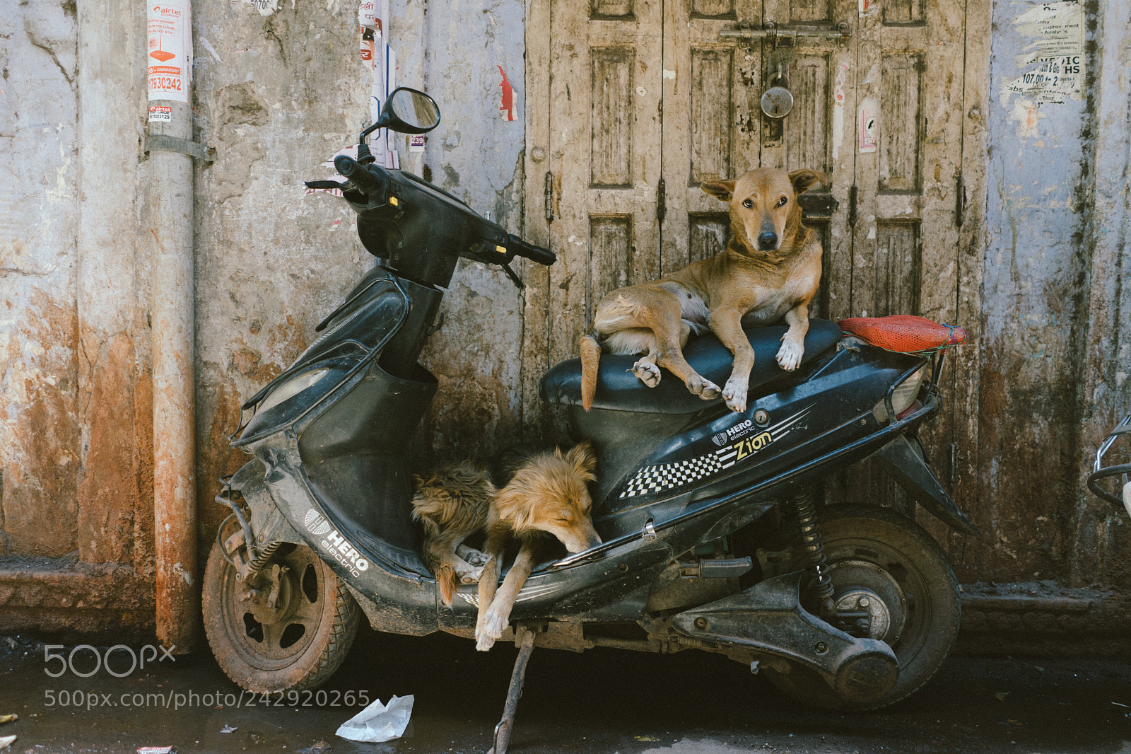 Sony a7 II sample photo. Delhi photography
