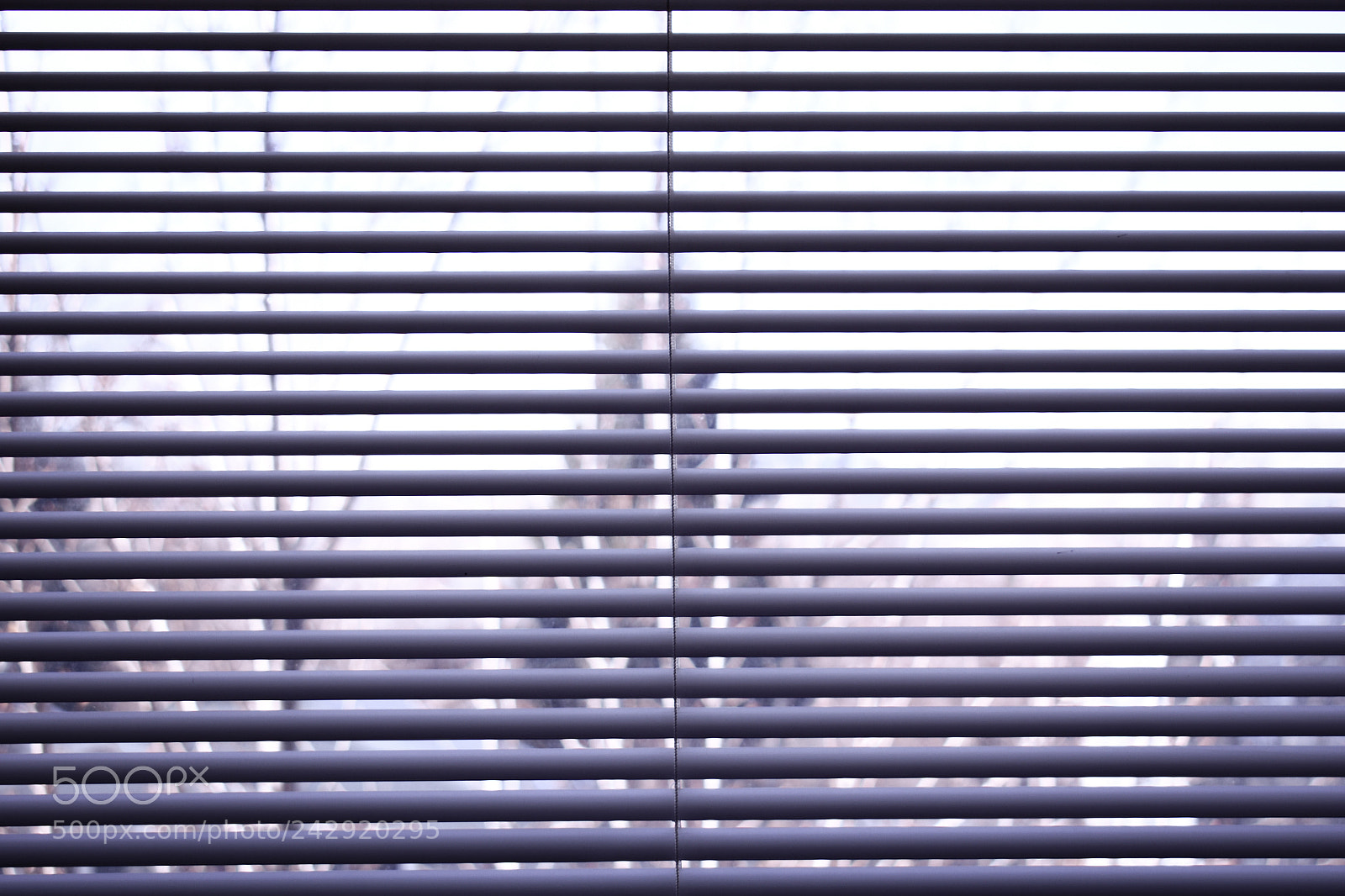 Nikon D3400 sample photo. Blinds photography