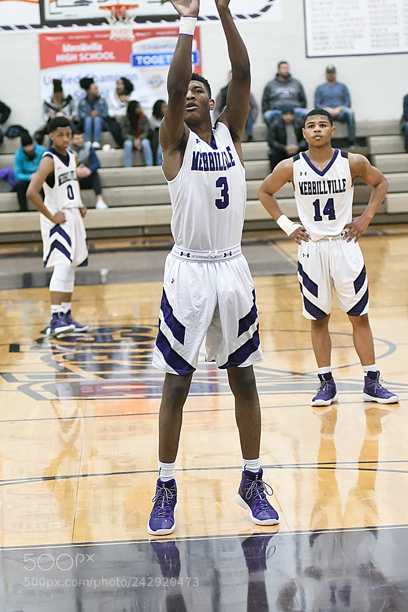 Nikon D500 sample photo. 1_13_0663.jpg photography