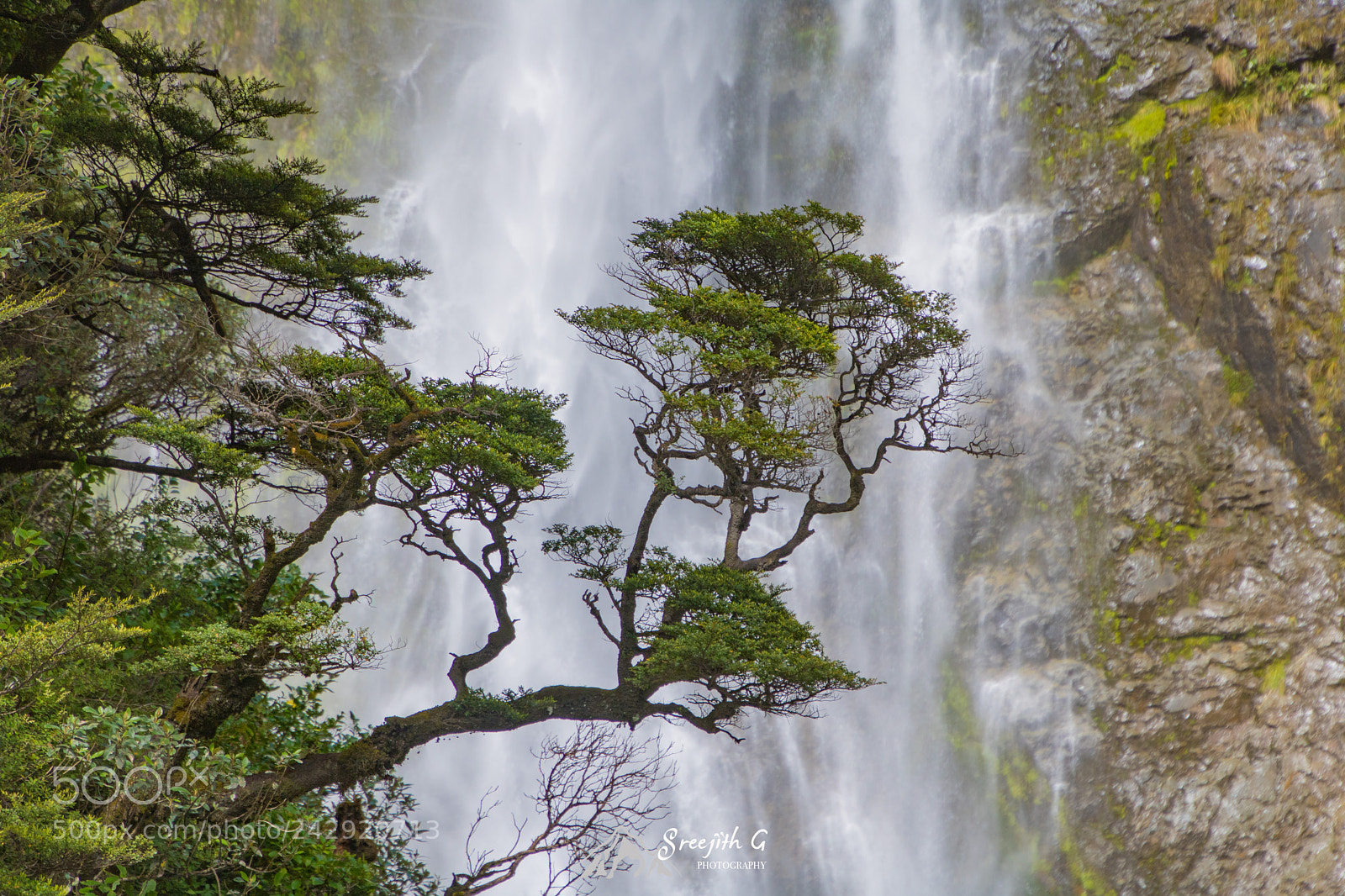 Canon EOS 760D (EOS Rebel T6s / EOS 8000D) sample photo. Devils punchbowl falls photography