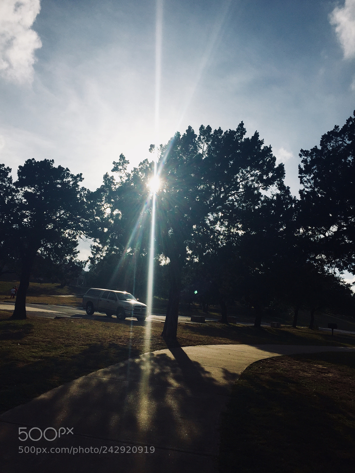 Apple iPhone 6 sample photo. Untitled photography