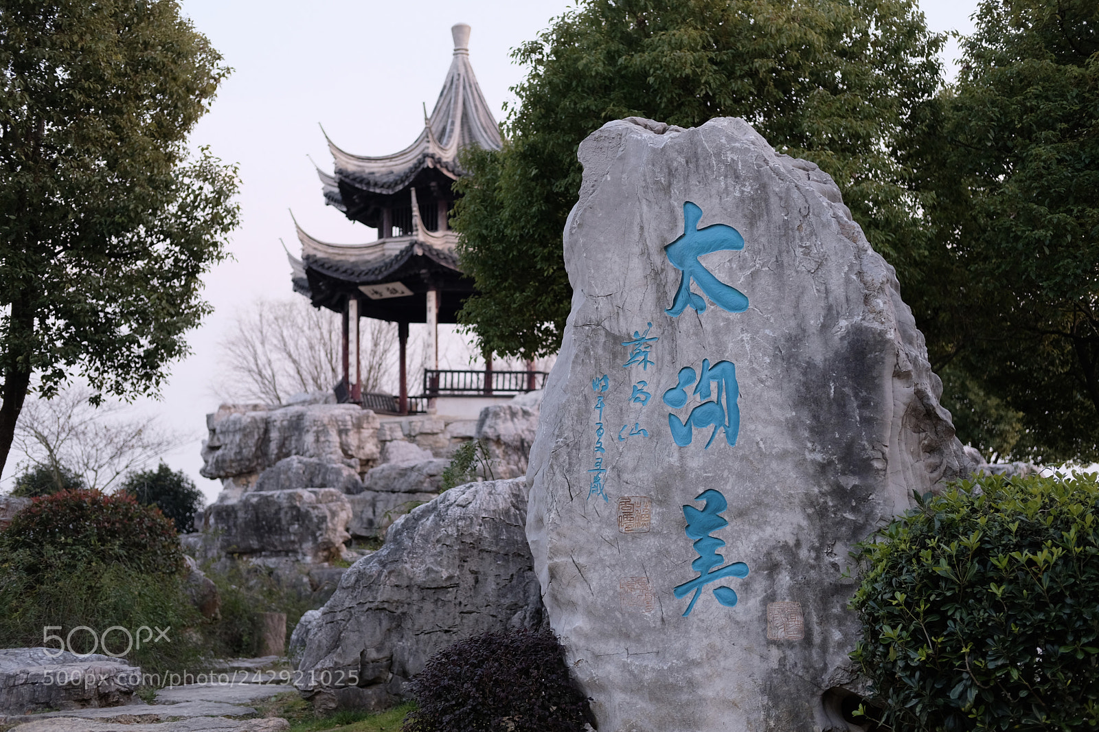 Fujifilm X-T20 sample photo. Untitled photography