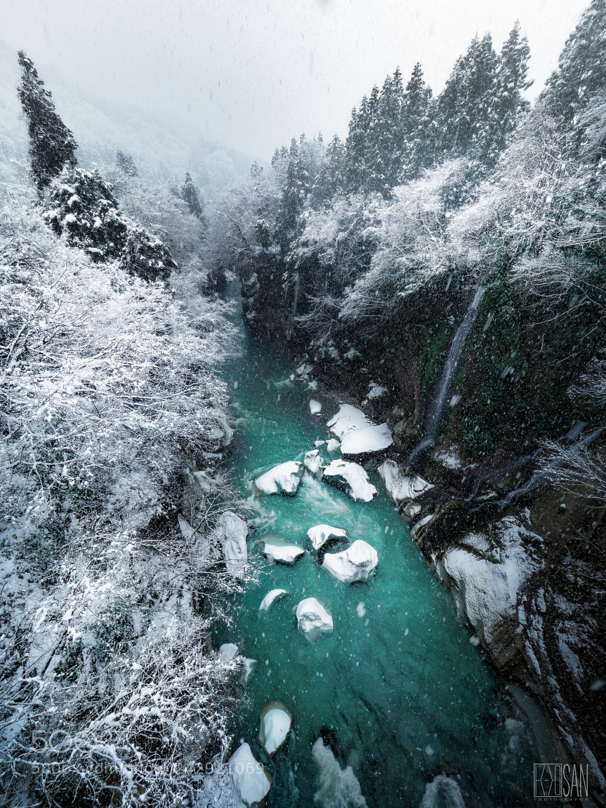 Olympus OM-D E-M1 Mark II sample photo. Winter green photography