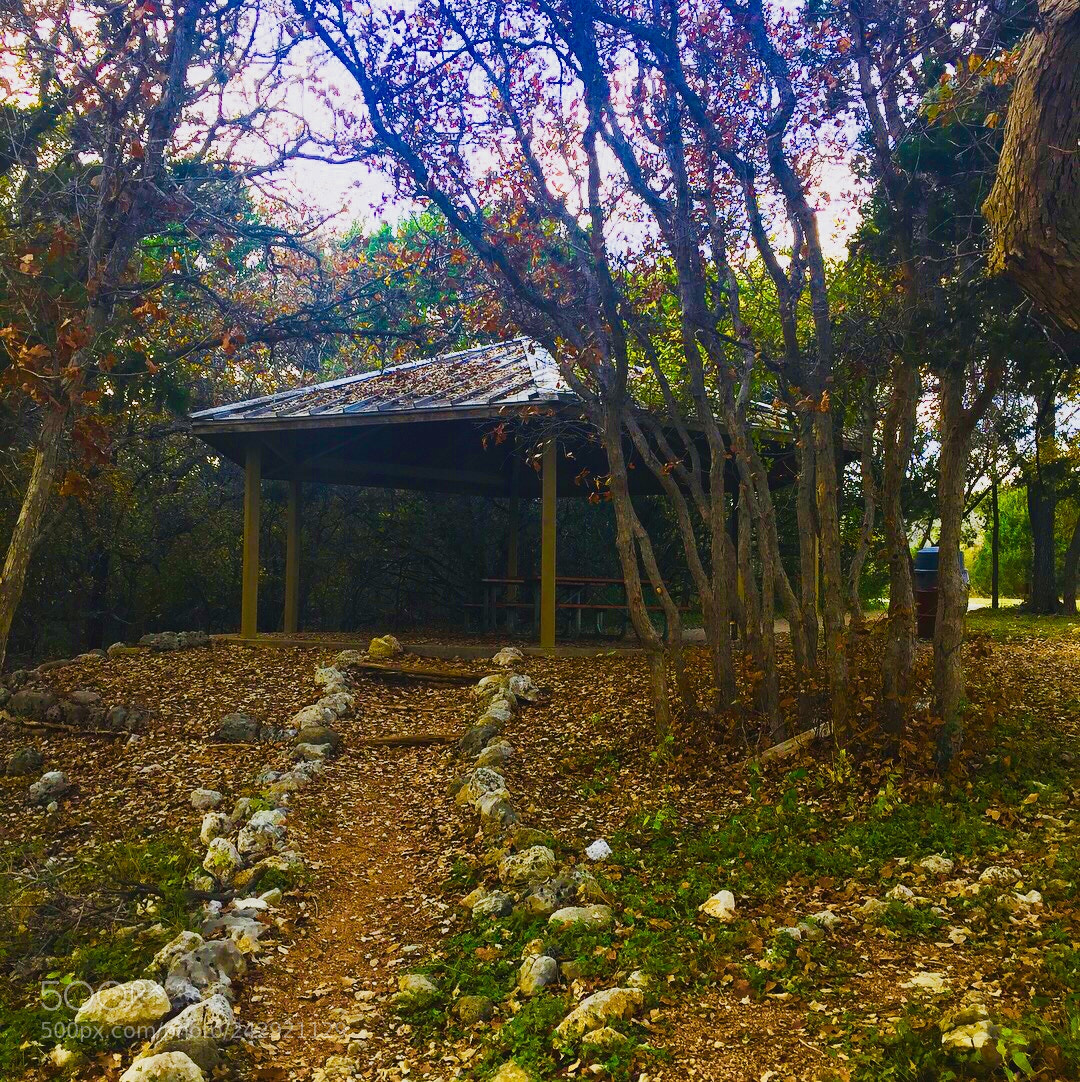 Apple iPhone 6 sample photo. Untitled photography