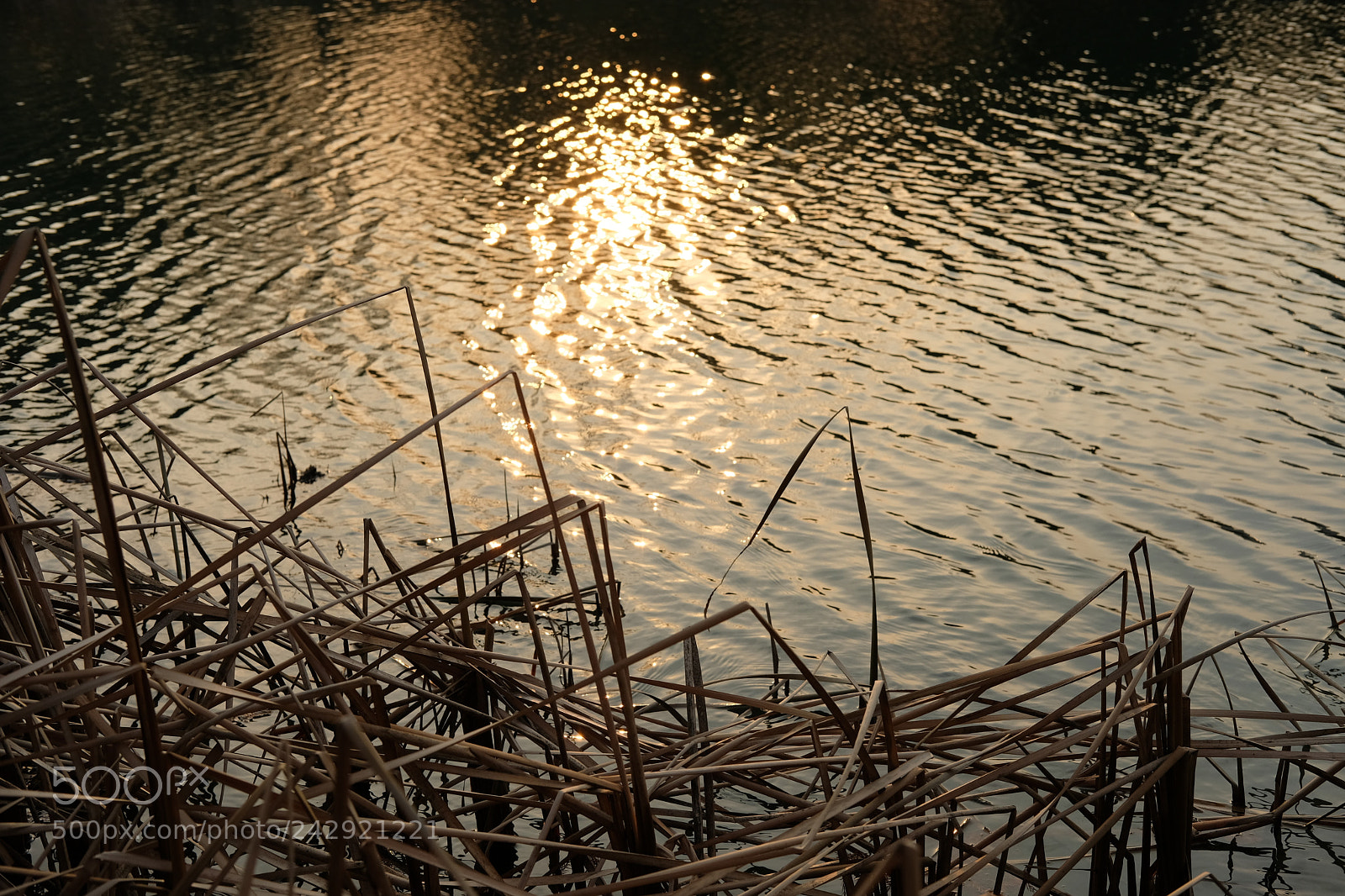 Fujifilm X-T20 sample photo. Untitled photography
