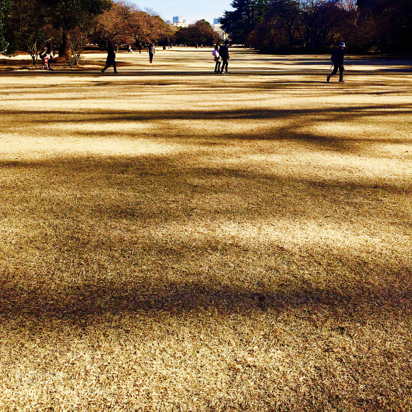 Apple iPhone 5s sample photo. Untitled photography