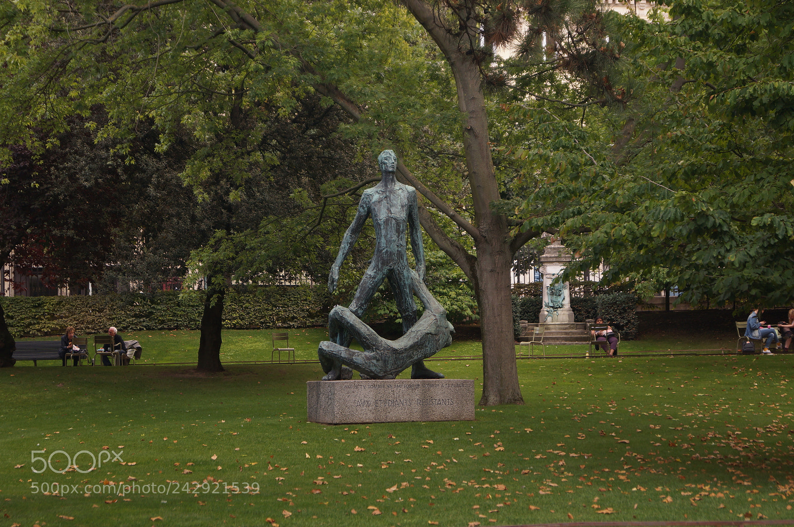 Sony SLT-A37 sample photo. Untitled photography