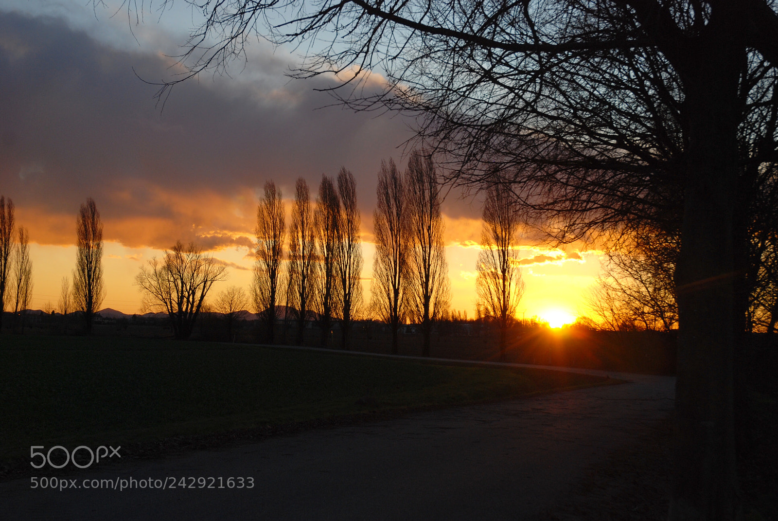 Nikon D80 sample photo. Sunset photography
