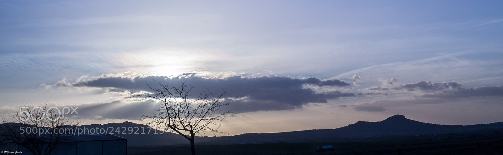 Olympus OM-D E-M10 sample photo. Moments of light photography