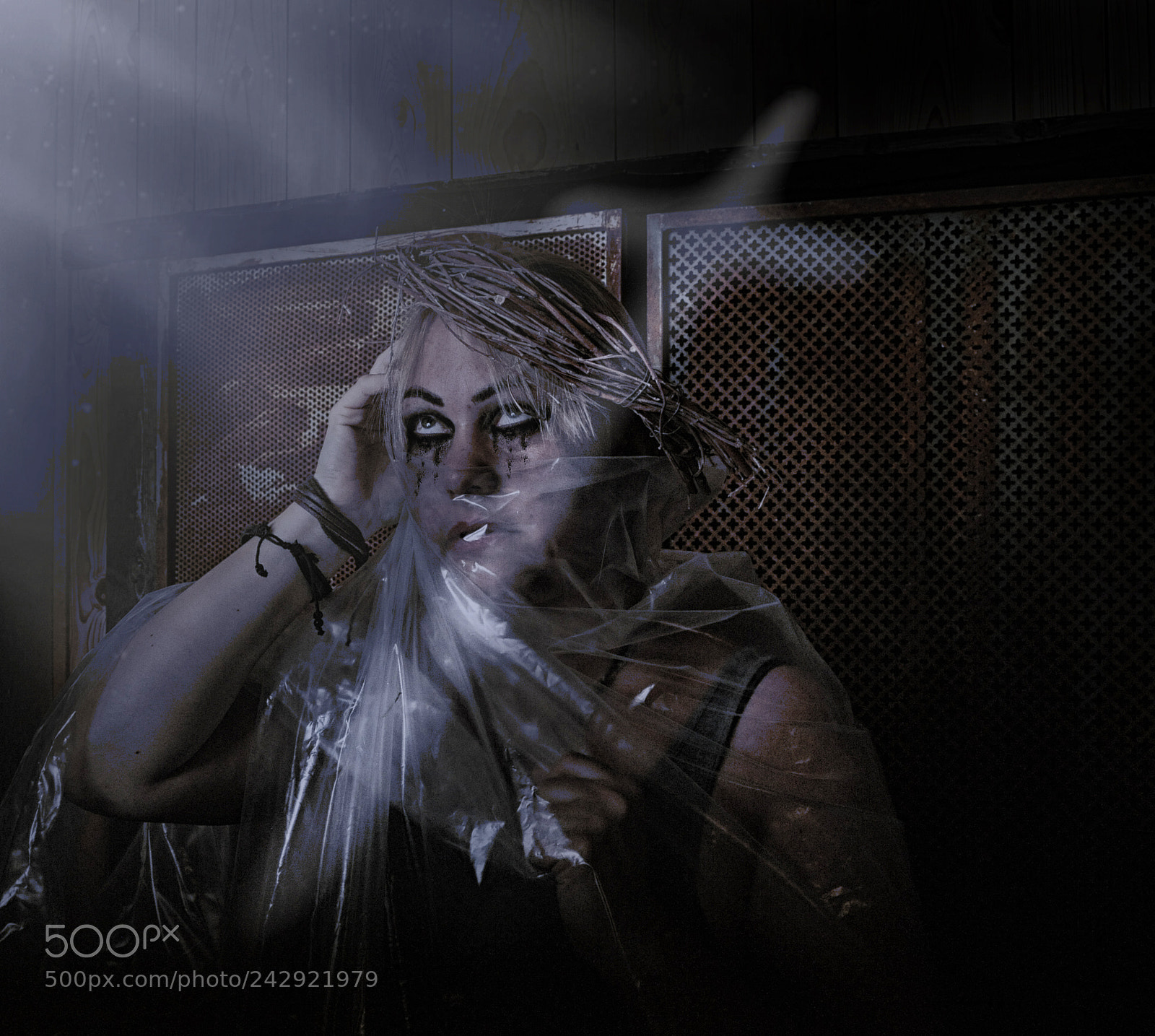 Nikon D700 sample photo. Light photography