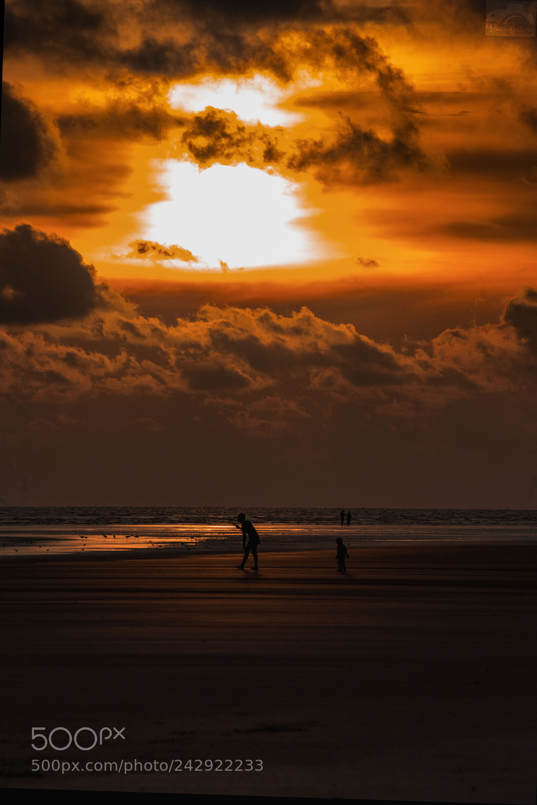 Nikon D810 sample photo. Sunsets photography