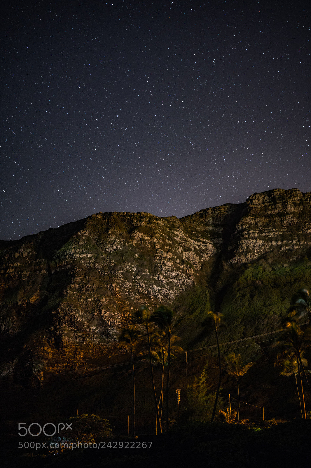 Sony a7 II sample photo. Dsc photography