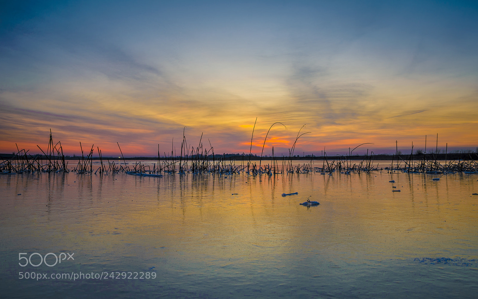 Nikon D610 sample photo. Sunset photography