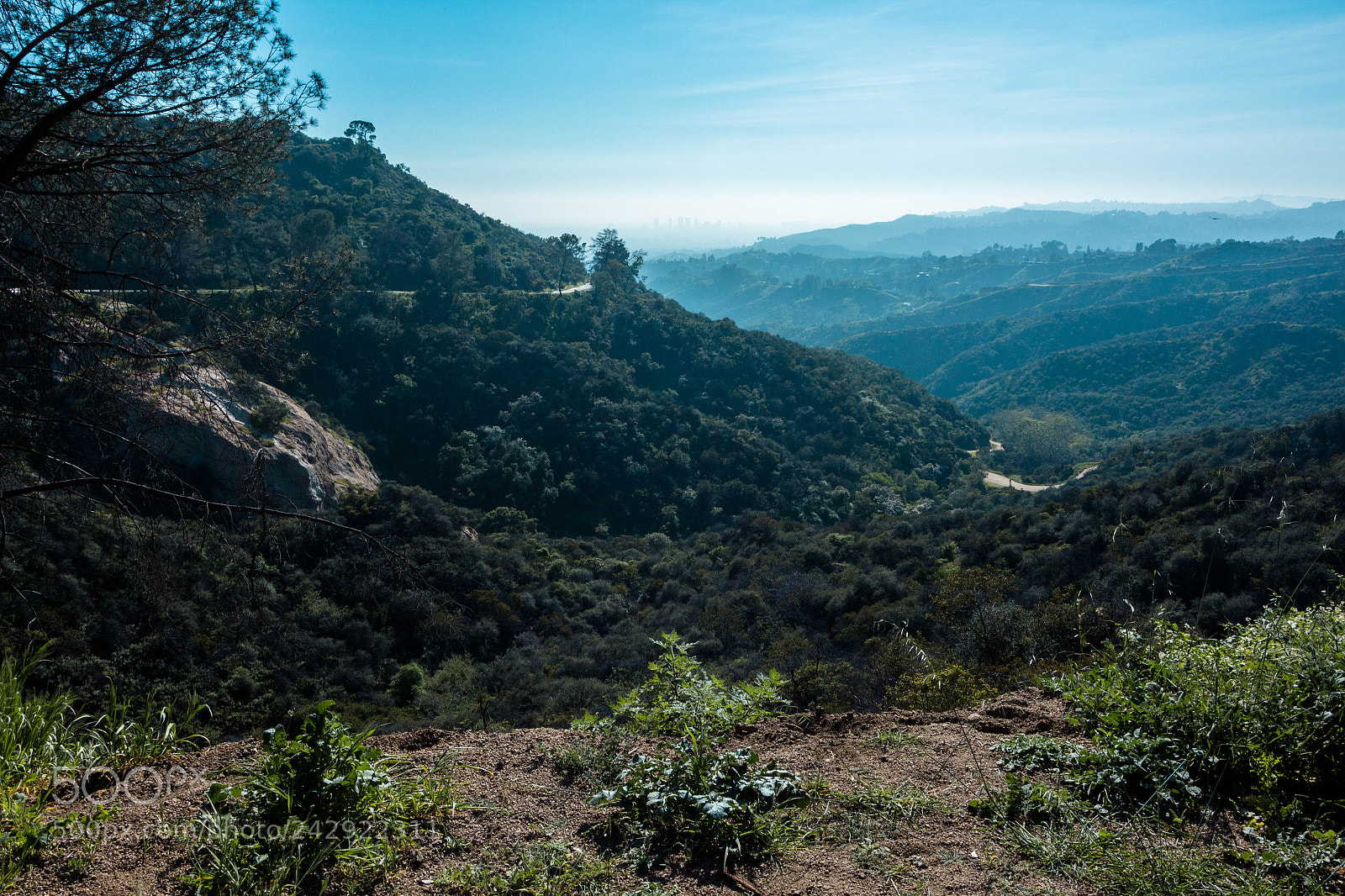 Canon EOS 650D (EOS Rebel T4i / EOS Kiss X6i) sample photo. Griffith park photography