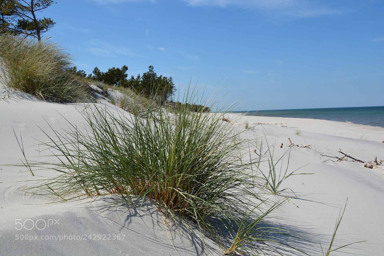 Nikon D7100 sample photo. Dunes on the baltic photography