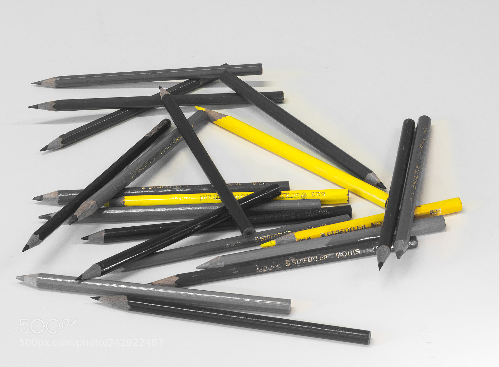 Nikon D500 sample photo. The colour yellow photography