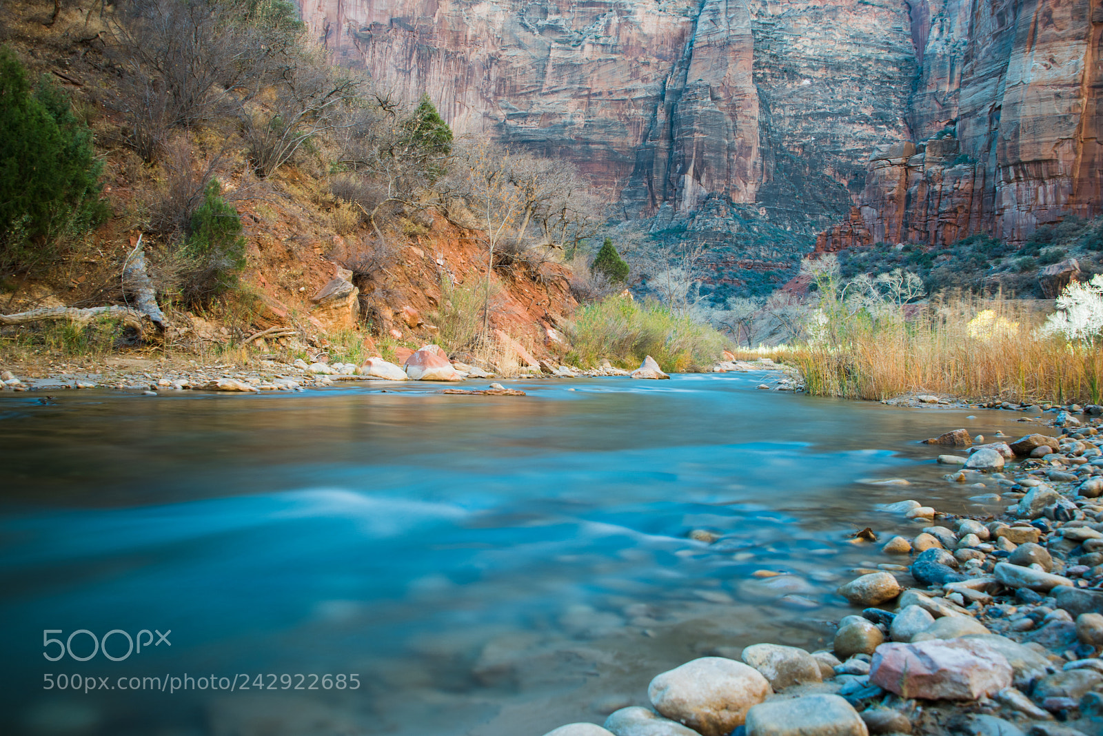 Nikon D810 sample photo. The stream photography