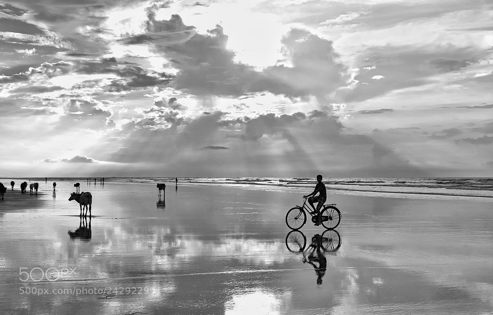 Nikon D5500 sample photo. Cycling in the reflecting photography