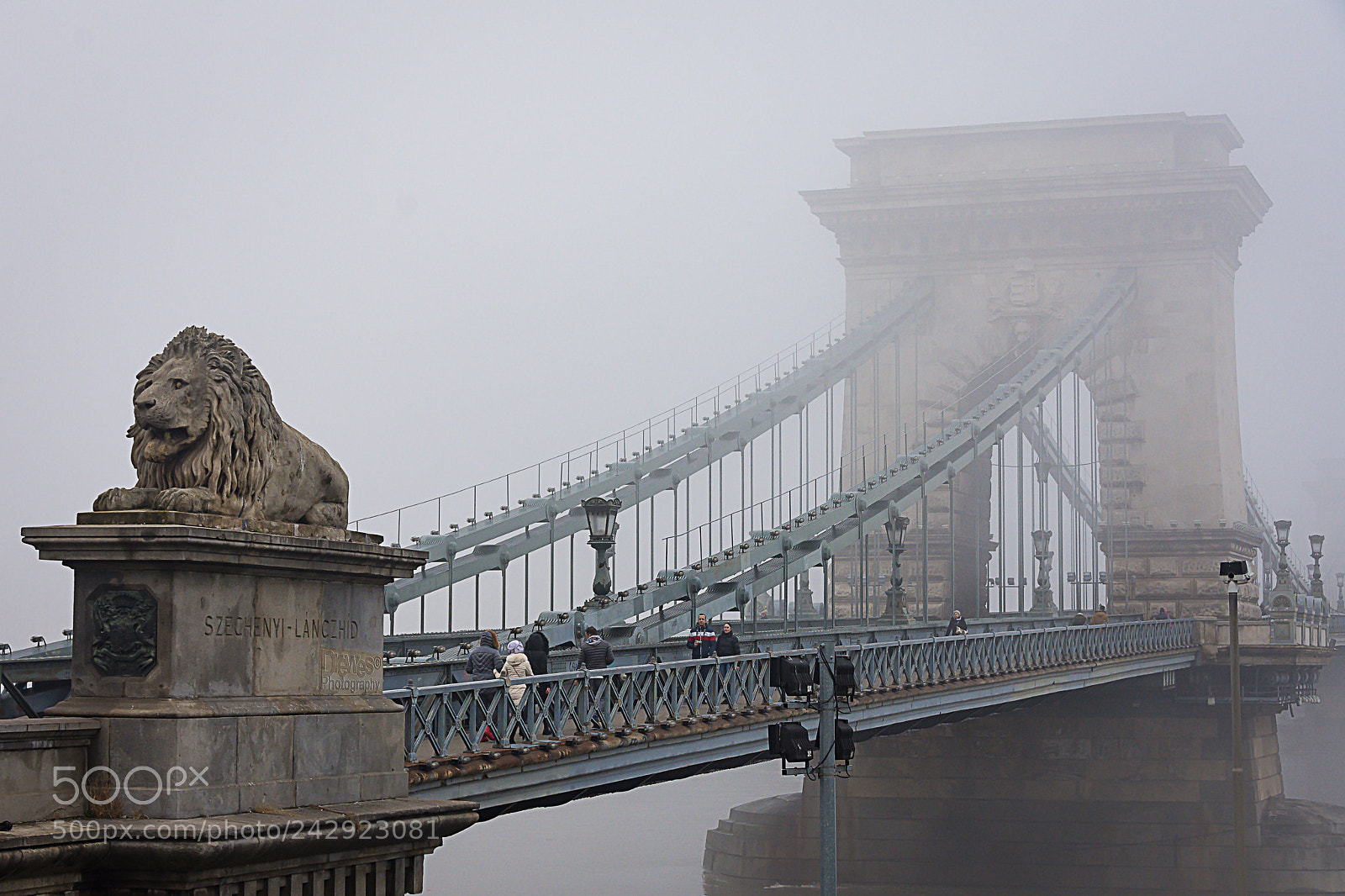 Nikon D7200 sample photo. Chain bridge in the photography
