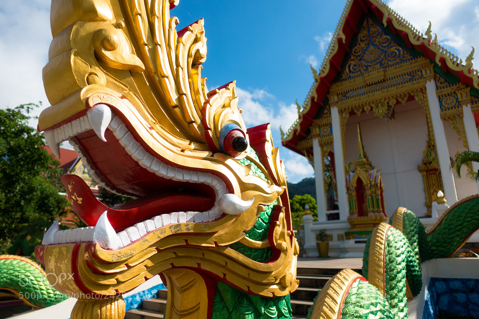 Sony Cyber-shot DSC-RX100 IV sample photo. Fierce dragon photography