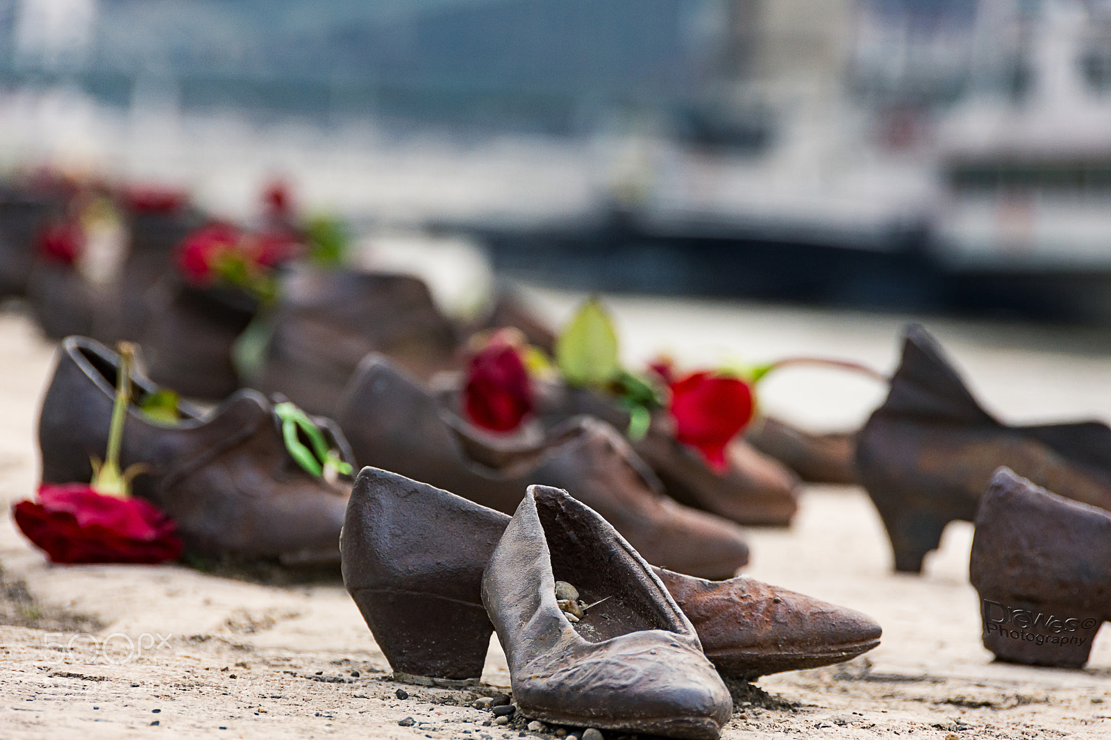 Nikon D7200 sample photo. Mahnmal in budapest photography
