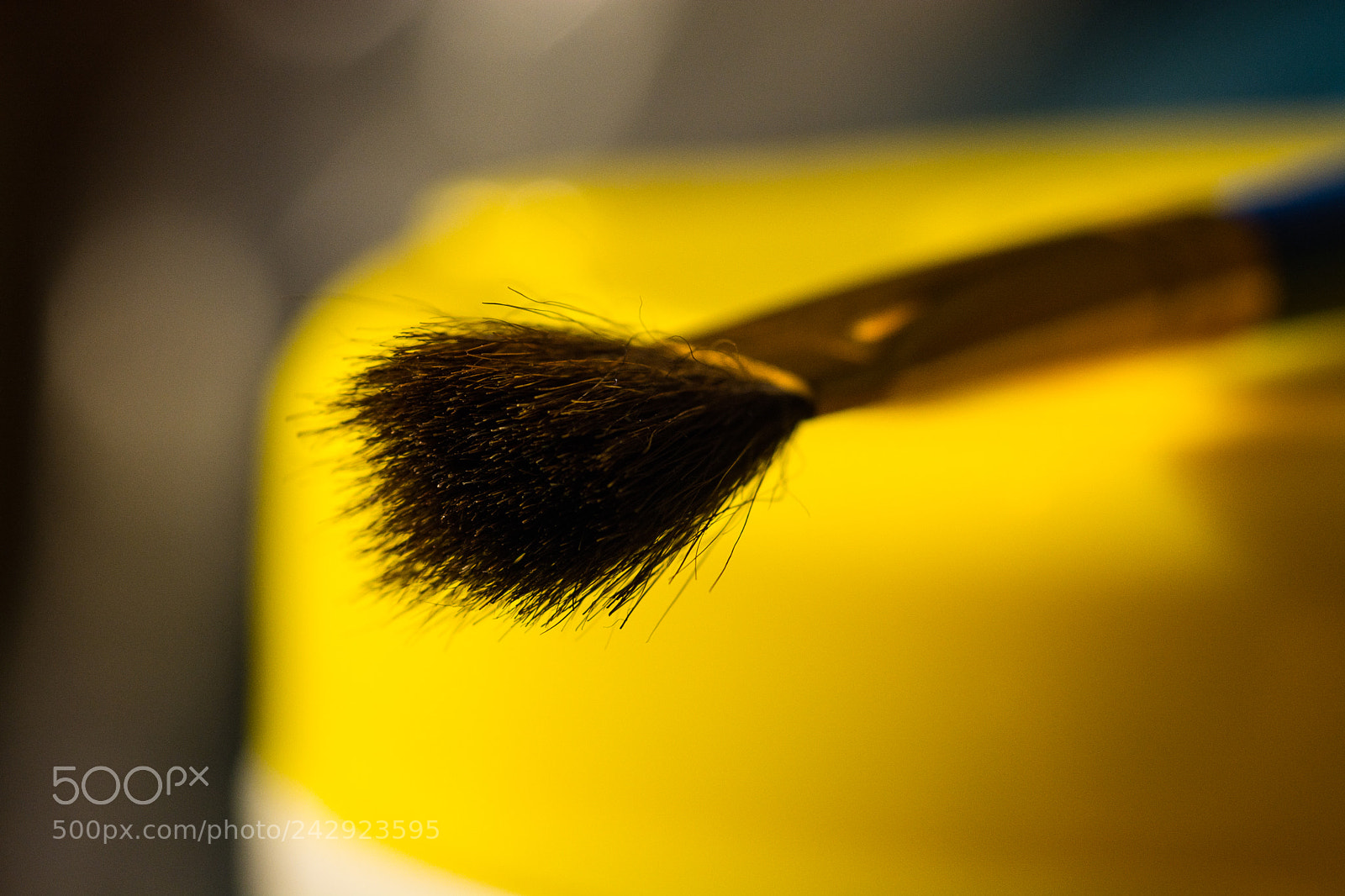 Nikon D7100 sample photo. How i macro test photography