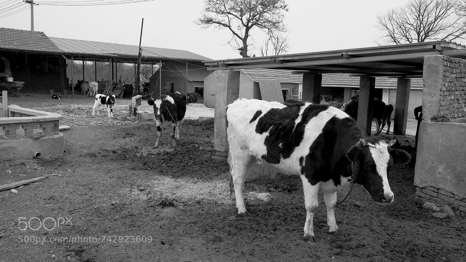 Fujifilm X70 sample photo. Title photography