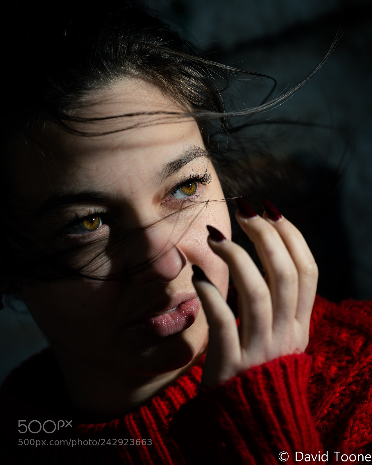 Nikon D800 sample photo. Untitled photography