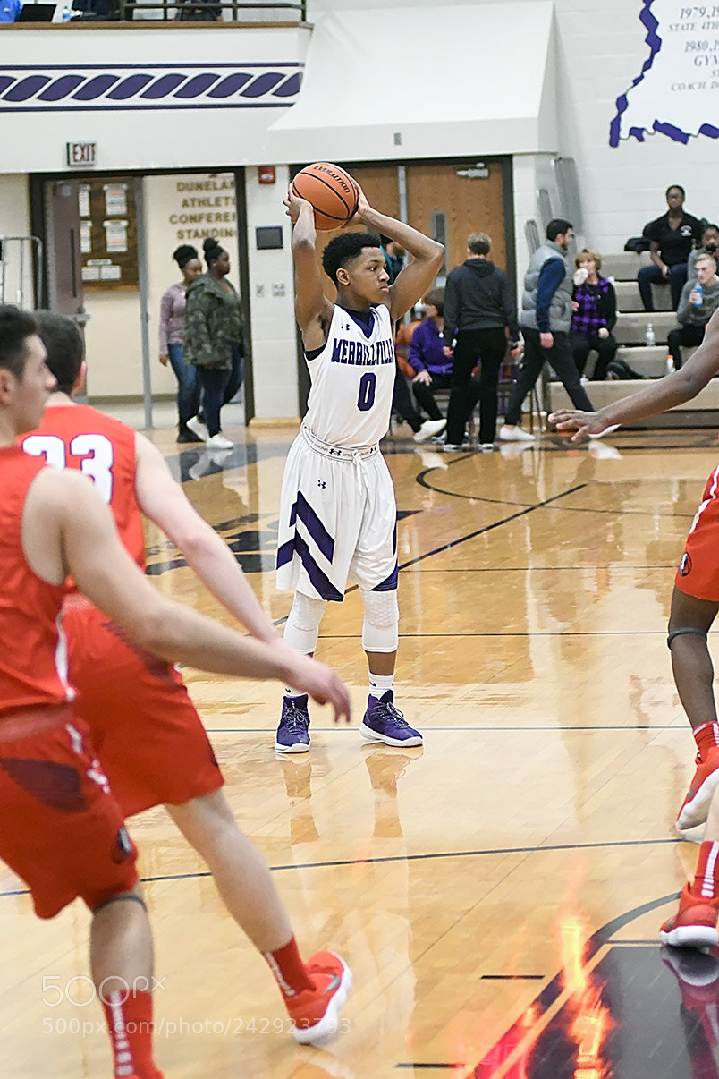 Nikon D500 sample photo. 1_13_0446.jpg photography