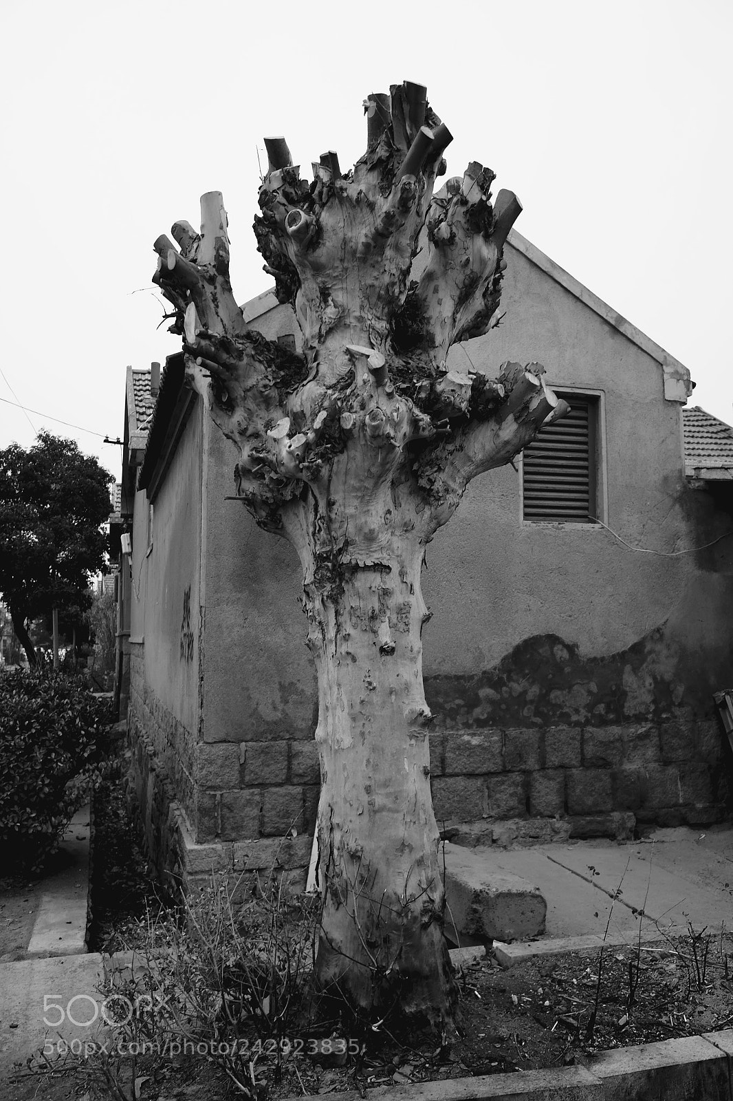 Fujifilm X70 sample photo. Title photography