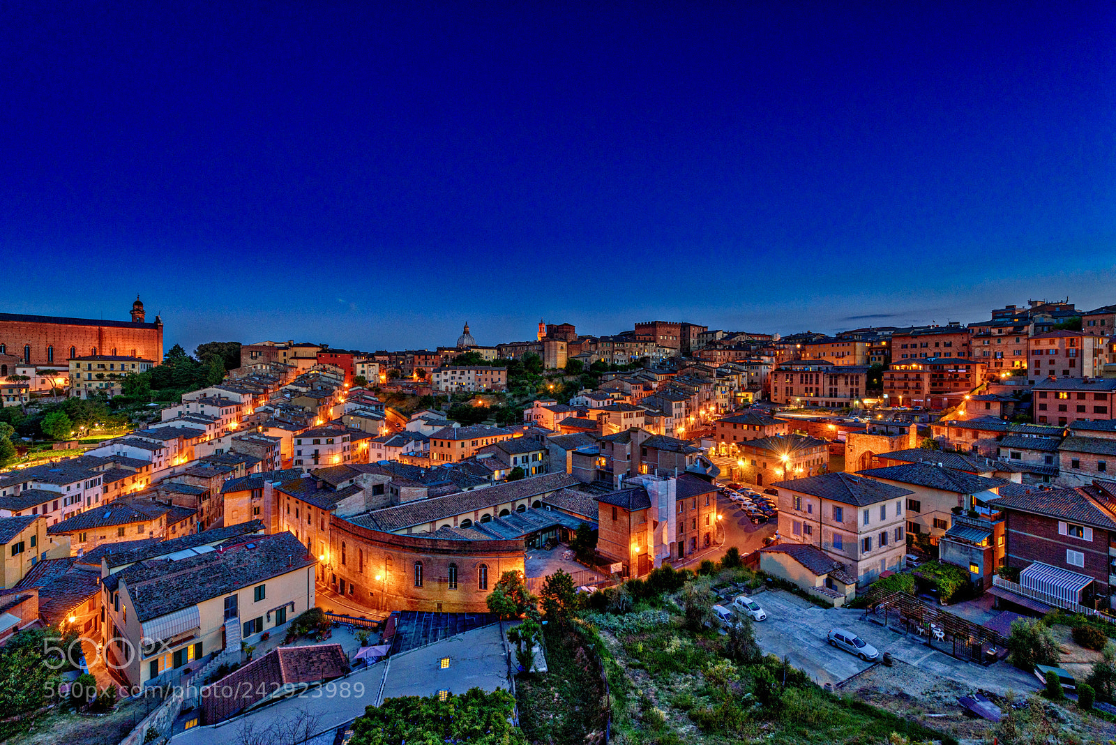 Nikon D810 sample photo. Sienna by evening ! photography