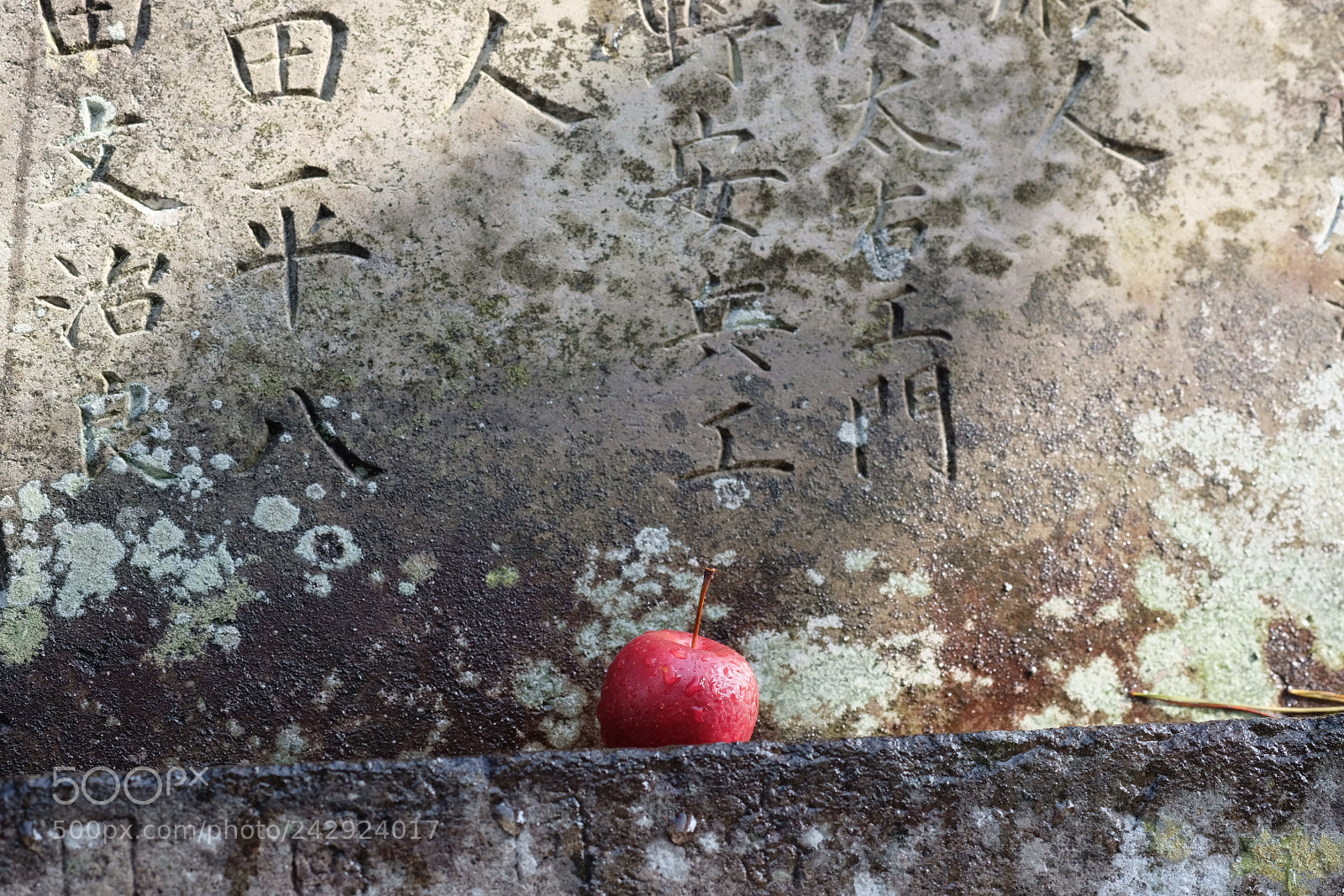 Fujifilm X-T20 sample photo. Beautiful japan photography