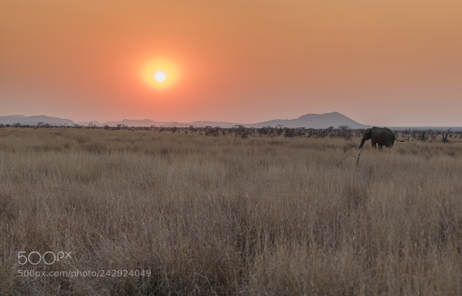 Nikon D5500 sample photo. Sun setting in africa photography
