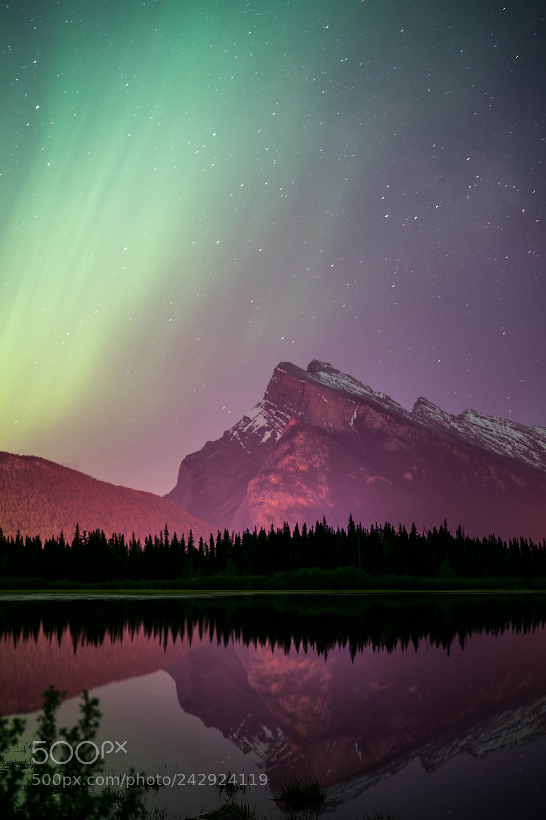 Sony a7 II sample photo. Northern lights in may photography