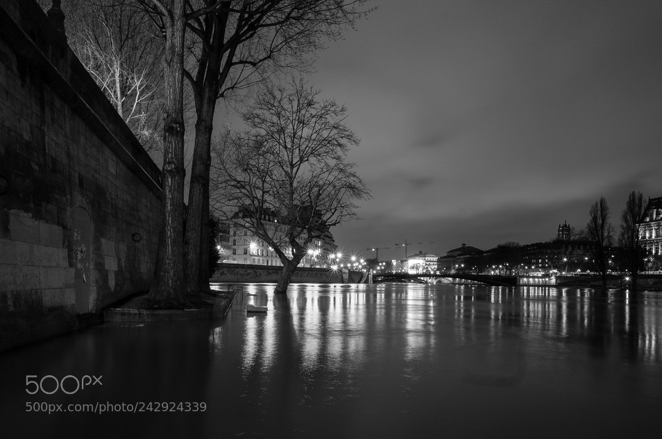 Fujifilm X-Pro1 sample photo. Au raz du banc photography