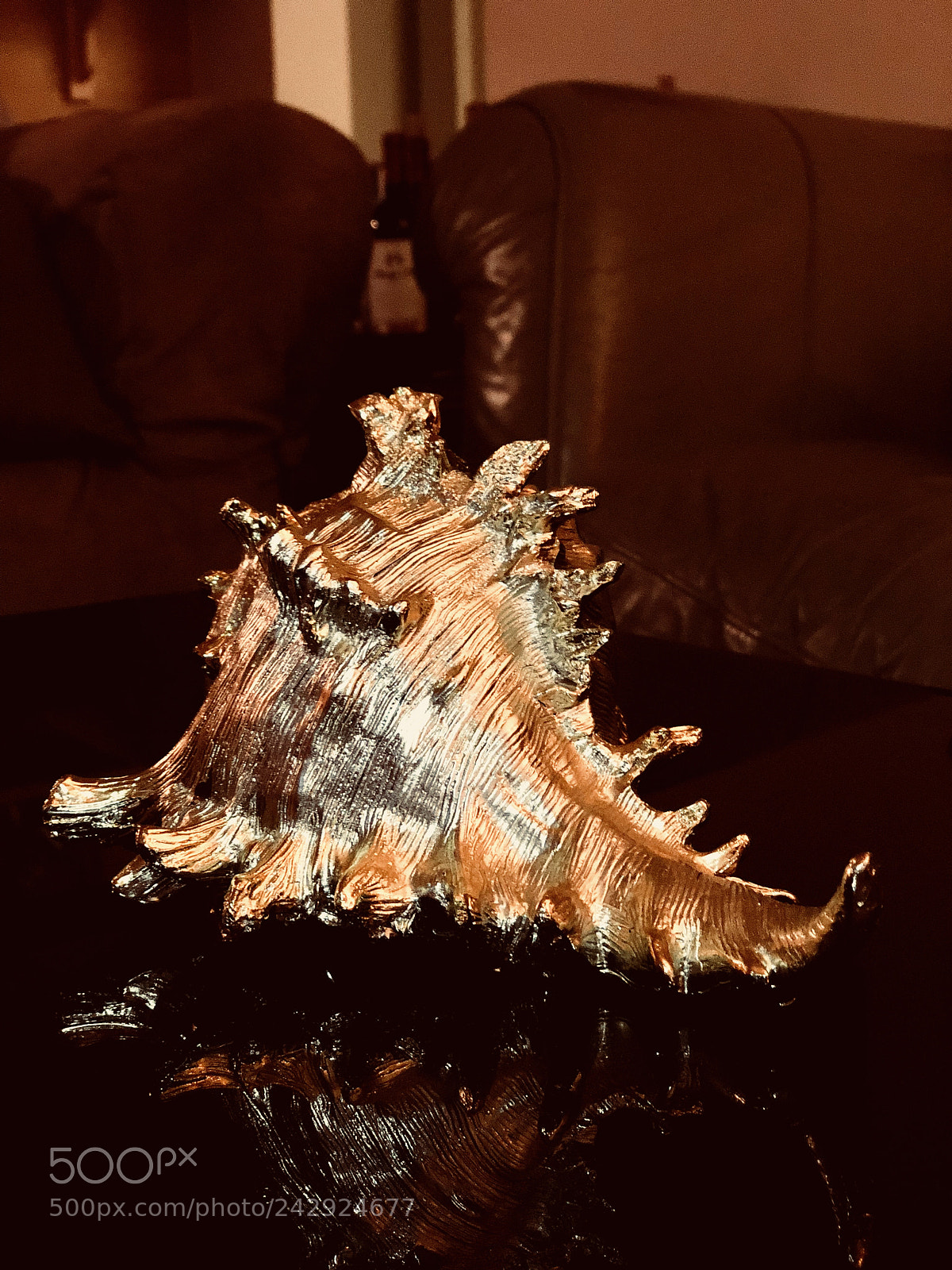 Apple iPhone X sample photo. Golden beauty photography