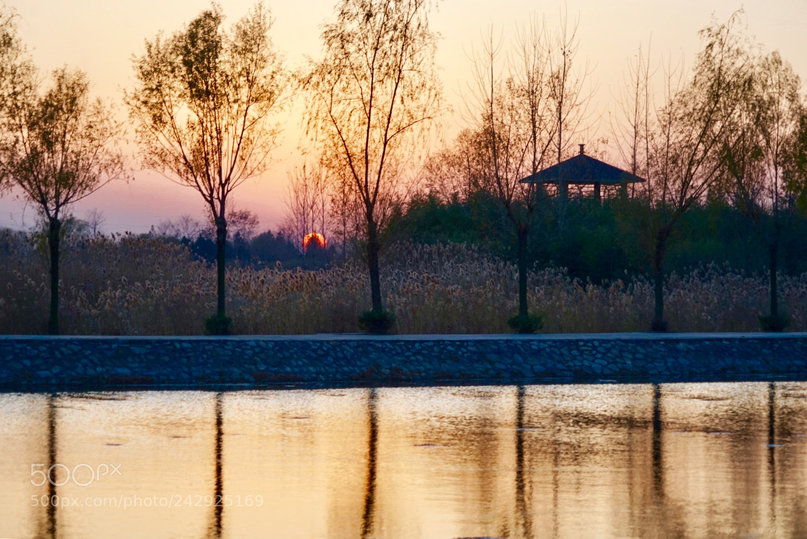 Sony a7 sample photo. 黄昏 photography