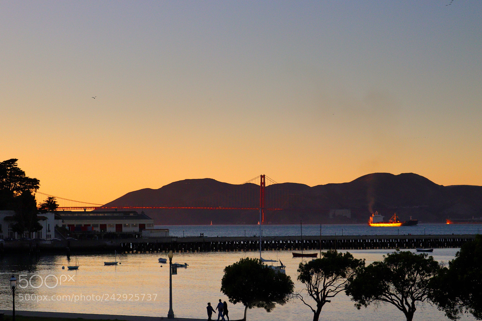 Canon EOS 77D (EOS 9000D / EOS 770D) sample photo. Golden gate bridge at photography