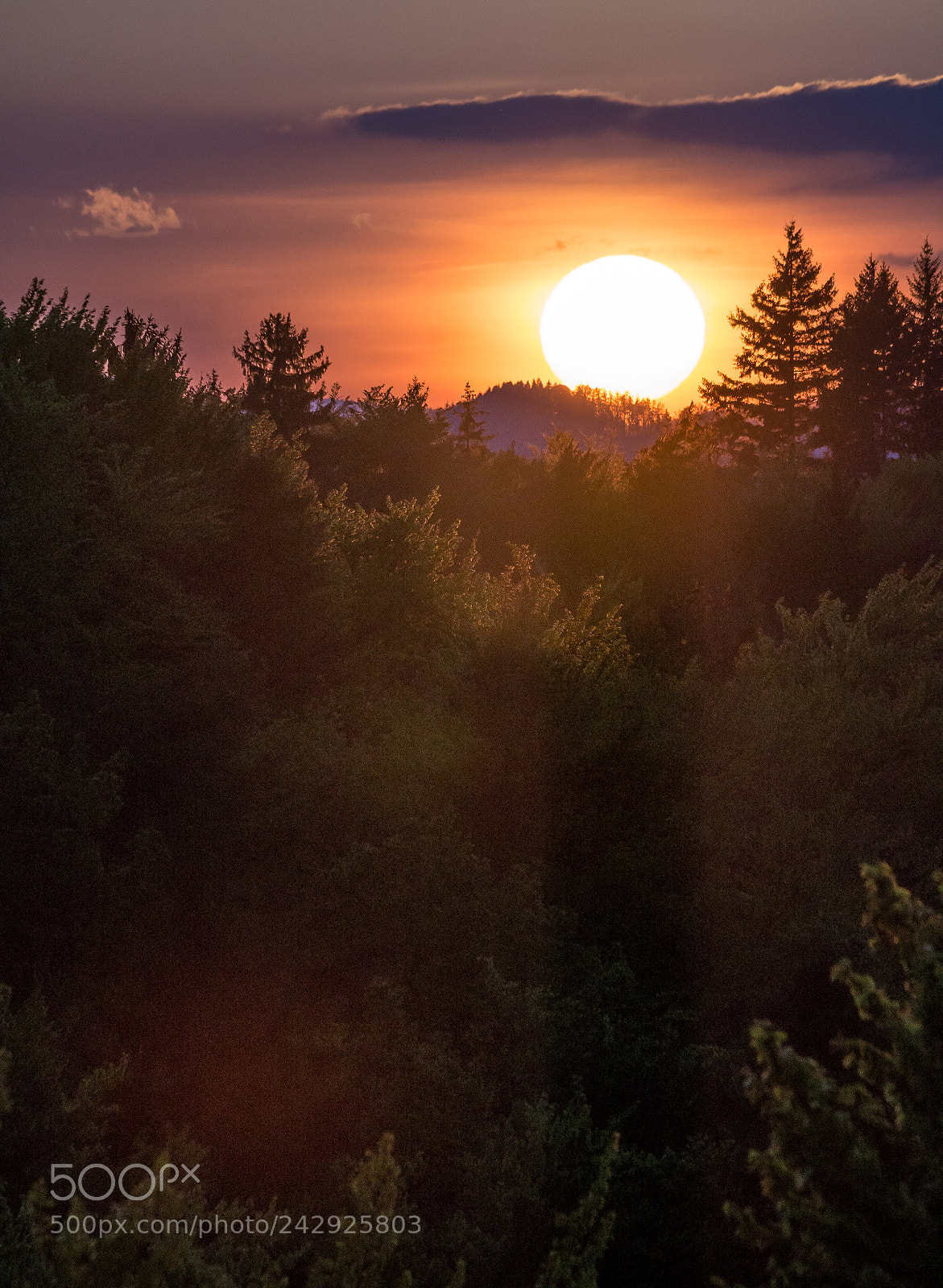 Sony Alpha NEX-6 sample photo. Watch your back photography