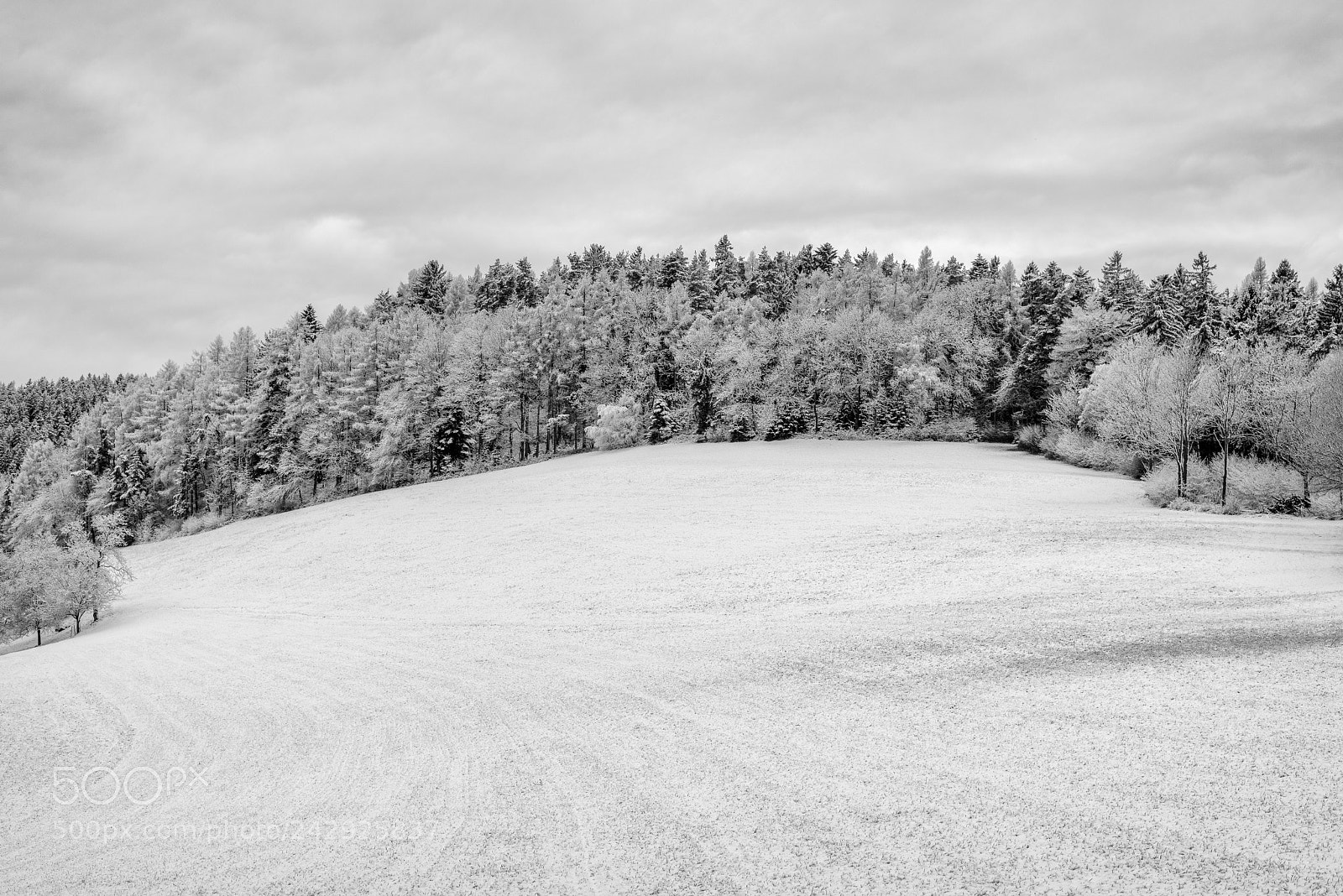 Nikon D810 sample photo. Space photography
