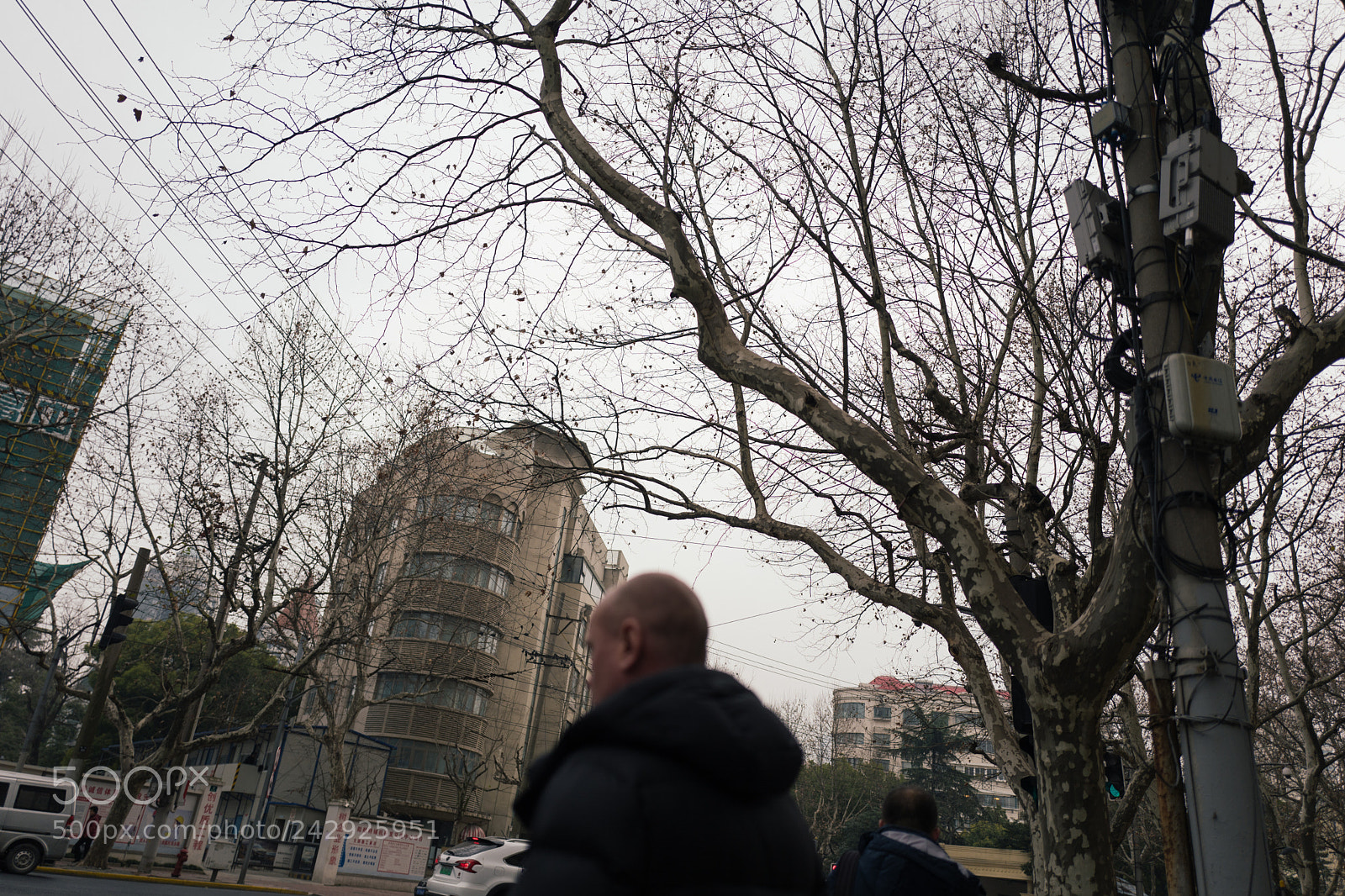 Leica Q (Typ 116) sample photo. Untitled photography