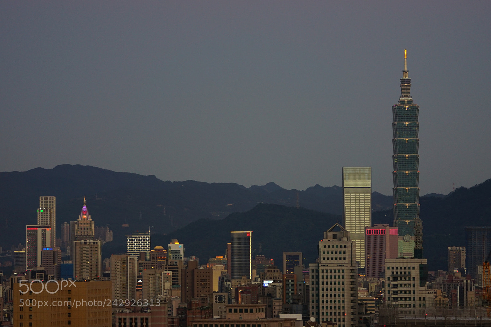 Sony ILCA-77M2 sample photo. City trees photography