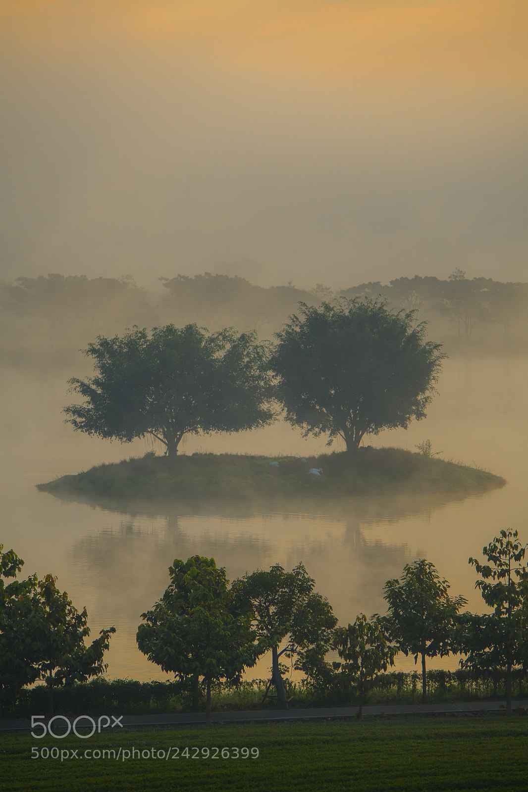 Nikon D7500 sample photo. Nature photography