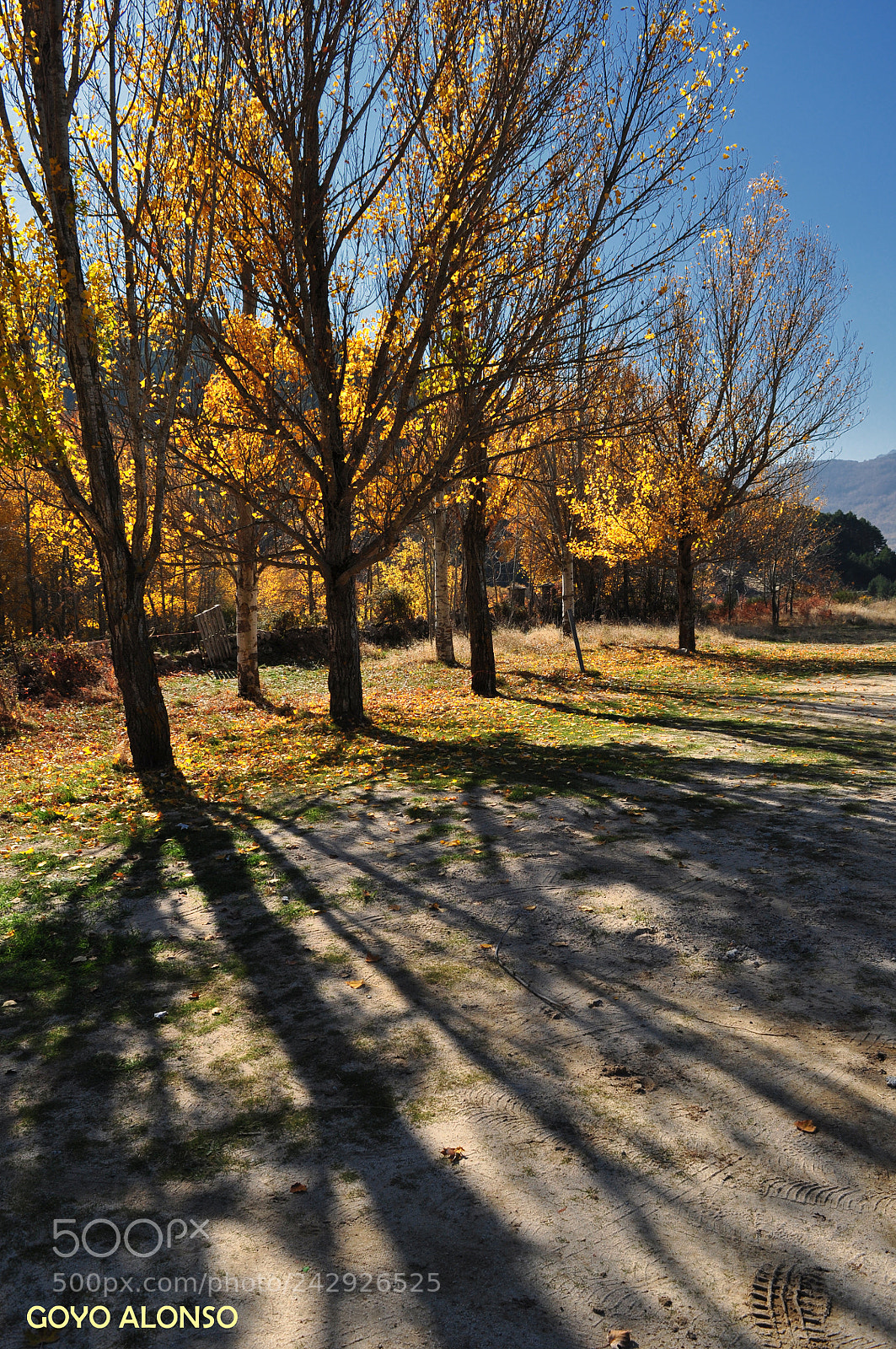 Nikon D5000 sample photo. Luces photography