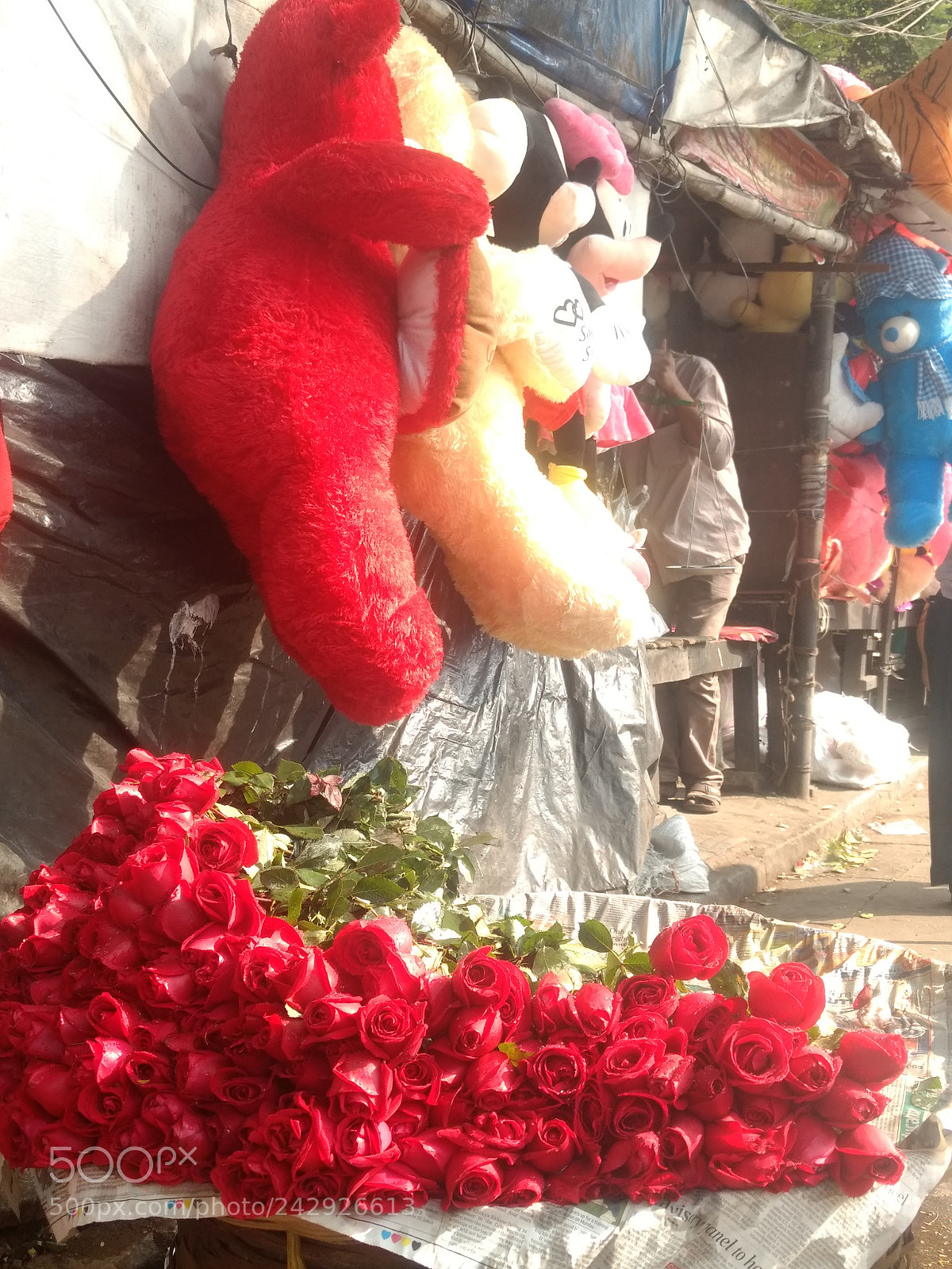 Motorola Moto G (4) sample photo. Untitled photography