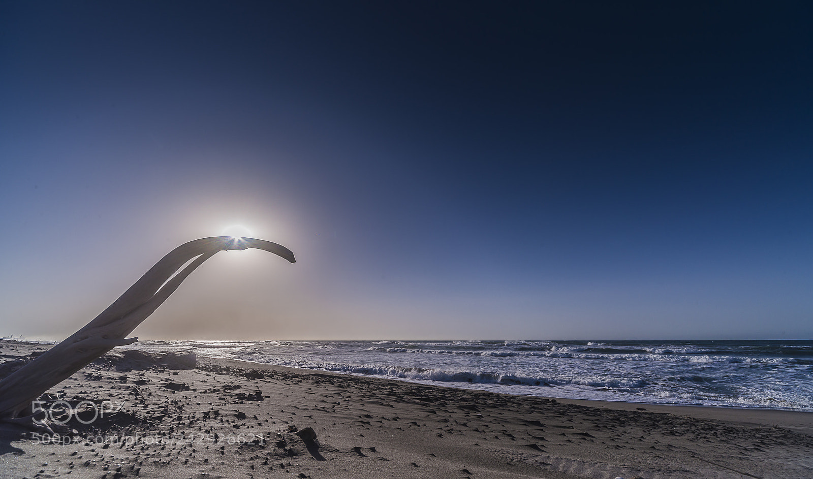 Nikon D800 sample photo. Winter sunshine photography