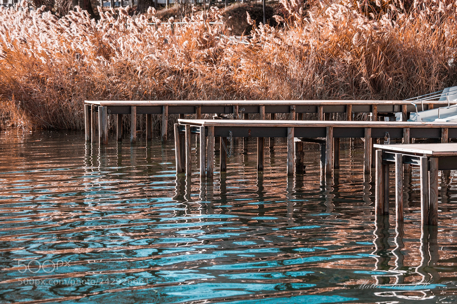 Nikon D3200 sample photo. Canes & woods photography